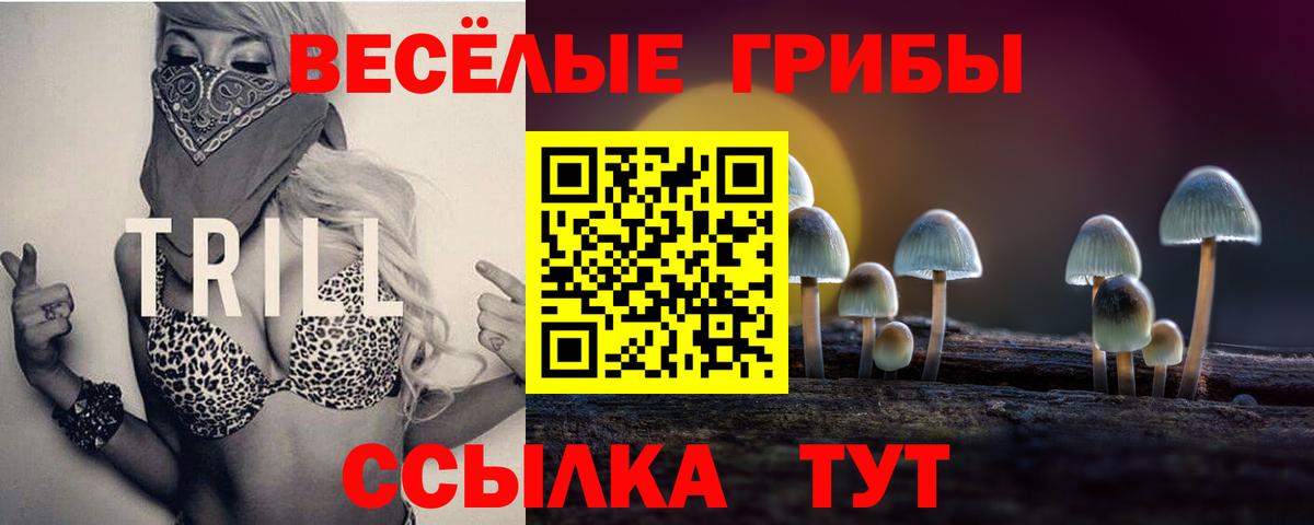 Псилоцибиновые грибы GOLDEN TEACHER Клин