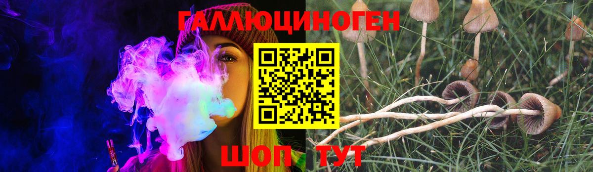 Псилоцибиновые грибы GOLDEN TEACHER  Галлюциногенные грибы Psilocybe  Вход с VPN  Клин 